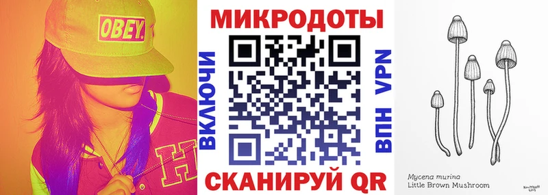 Купить закладки  Моршанск  Галлюциногенные грибы MAGIC MUSHROOMS 