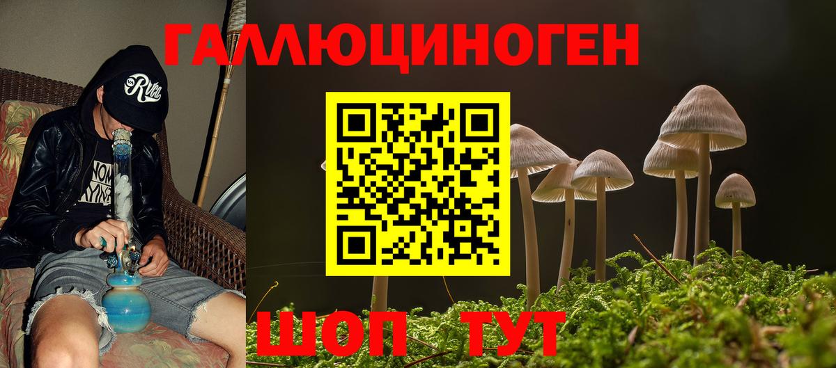где купить наркоту  Галлюциногенные грибы мухоморы  Вход с VPN  Моршанск  Псилоцибиновые грибы мицелий 