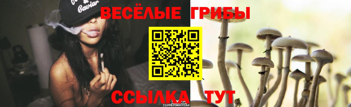 Галлюциногенные грибы Cubensis  Моршанск 