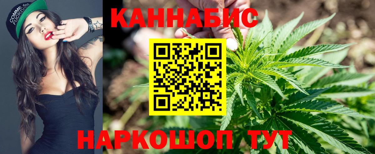 Канабис сатива  Каннабис OG Kush  Канабис планчик  Моршанск  Вход с VPN 