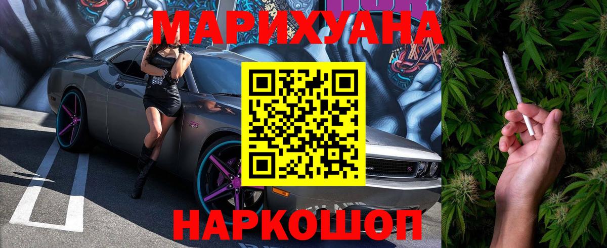 Каннабис планчик Моршанск